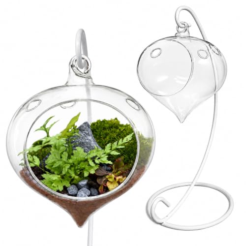 Glass Terrarium with White Metal 9" Stand