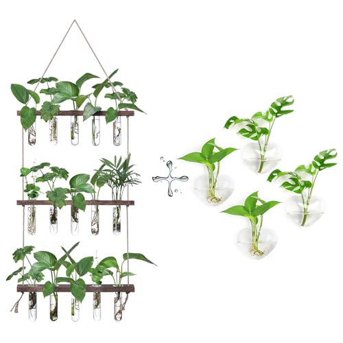 XXXFLOWER Wall Hanging Propagation Station with 5 Glass Test Tubes 3 Tiers+Wall Hanging Glass Terrariums,Heart-Shaped Set of 4