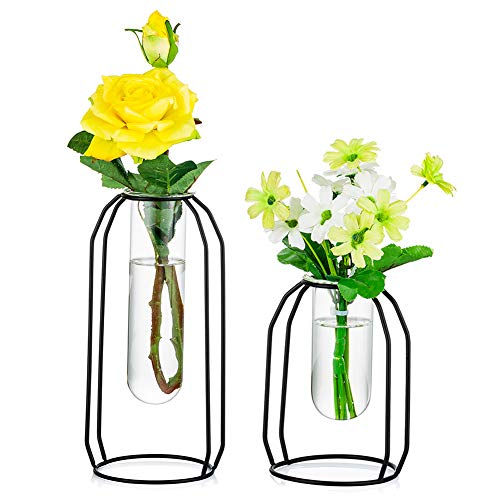 NUPTIO Glass Vases with Metal Frame, Black, S+L, Set of 2 - color: Black, size: S+L
