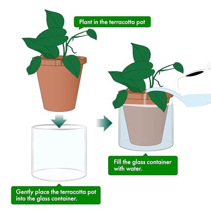 D'vine Dev Self Watering Terracotta Planter Pot, 8 in, 37-X-C-1 | Terracotta & Glass Design, Clear Water Reservoir, Visible Water Level, Easy Plant Care, Ideal for Busy Plant Lovers - color: Terracotta, size: 8 Inch