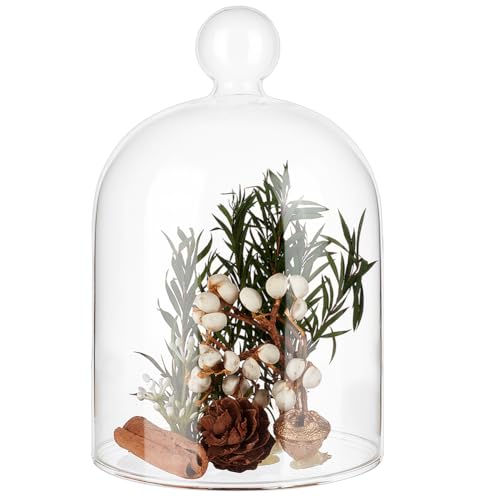 BENECREAT 3.6x5.4inch Glass Cloche, Dome Bell Jar Display Case for Plants, Figurines, Trinkets, LED Lights and Candles - size: 3.6x4.4inch