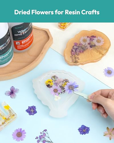 Dried Flowers, Resiners 58Pcs Pressed Flowers for Craft Purple Real Natural Dried Flowers Dry Leaves Kit for DIY Making Crafts Resin Soap Candle Scrapbook Supplies Card Making Jewelry - color: Violet 58pcs