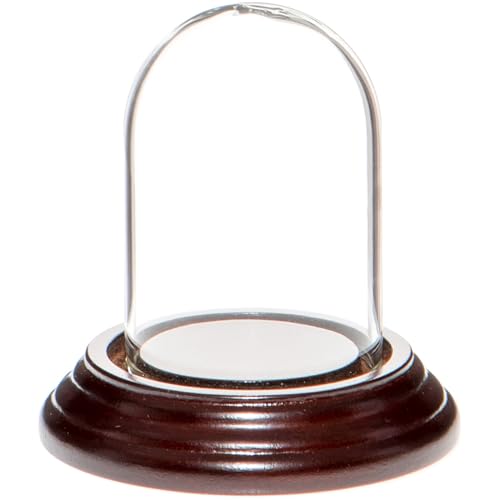 Plymor 1.85" x 2.875" Mini Glass Display Dome Cloche (Dark Mahogany Veneer Base) - color: Dark Mahogany Veneer Base