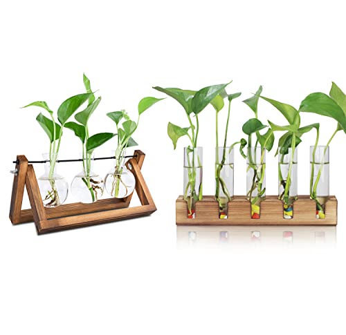 Renmxj Plant Propagation Station, 3 Bulb with 5 Test Tube