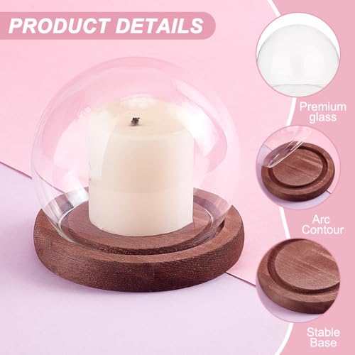 PH PandaHall 2pcs Glass Display Dome Cloche Round Dome Cover with Wooden Base Clear Glass Globe Bell Jar Display Case for Christmas Snow Globe Home Flower Plants Crafts Decor 3.8x3.2 Inch