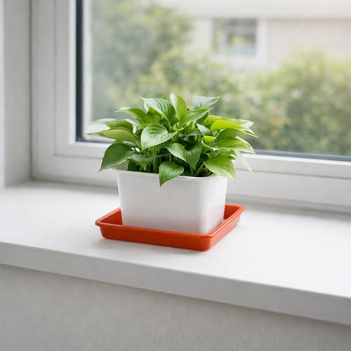 10 Pack Square Plant Saucer 12 Inches Drip Trays to Catch Water, Brick Red - color: Brick Red, size: 12 Inch