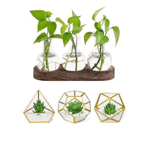 Mkono Desktop Plant Propagation Station Glass Planter Terrarium with Wooden Tray and Artificial Succulent in 3 Pack Mini Glass Geometric Terrarium