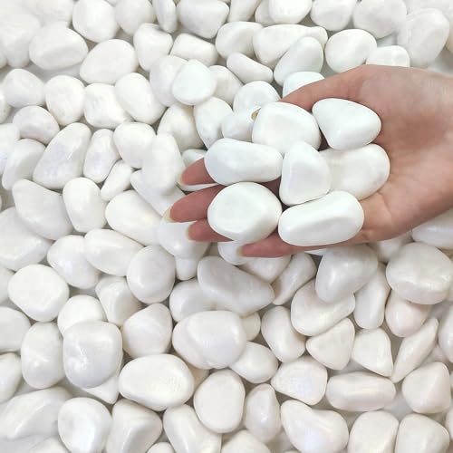 FANTIAN 5 lbs White Rocks for Plants, 1-2 Inch Pebbles for Vase | Decorative Polished White Pebbles Stones for Plants, Succulent, Cactus, Terrarium, Landscaping, Yard,Outdoor Garden - color: White, size: 5 lbs, 1-2 Inch