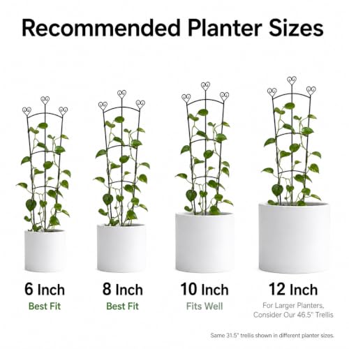 31.5 Inch Trellis for Potted Plants, Metal Plant Trellis for Climbing Plants, Plant Support for Ivy, Monstera, Hoya, Indoor & Outdoor Houseplant Trellis, Black, 1 Pack - size: 1 Pack/31in