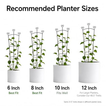 31.5 Inch Trellis for Potted Plants, Metal Plant Trellis for Climbing Plants, Plant Support for Ivy, Monstera, Hoya, Indoor & Outdoor Houseplant Trellis, Black, 1 Pack - size: 1 Pack/31in