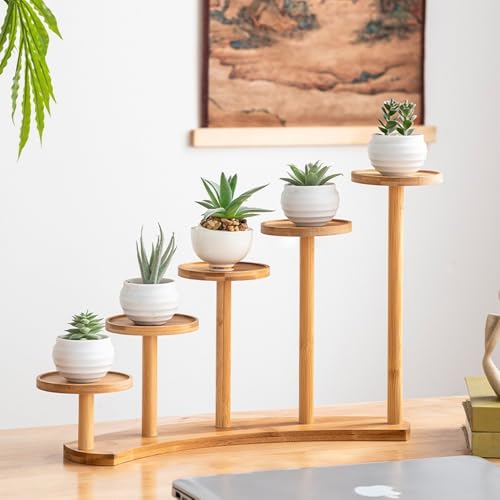 5 Tiers Desk Plant Stand Window Sill Plant Shelf Tabletop Succulent Stand Flower Pot Stand Holder Desktop Plant Stand Indoor Plant Rack for Succulent Herb in Living Room Office (Circle) - size: Circle