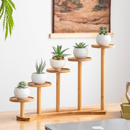 5 Tiers Desk Plant Stand Window Sill Plant Shelf Tabletop Succulent Stand Flower Pot Stand Holder Desktop Plant Stand Indoor Plant Rack for Succulent Herb in Living Room Office (Circle) - size: Circle