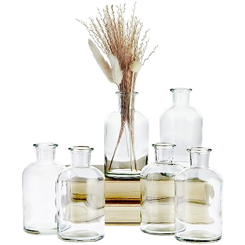Farmlyn Creek Narrow Jar Vases - 2.8 in x 5 in, 7.5 oz, 6 Pack, Clear Glass - Apothecary-Style Jars & Glass Bottle Vases for Propagation & Mini Decorative Bottles - color: Clear