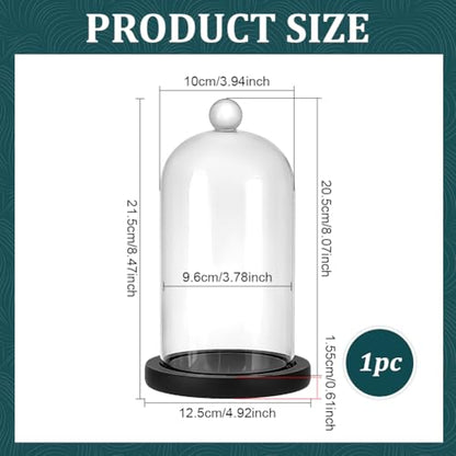 PH PandaHall Cloche Glass Dome Black Wooden Base Bell Jar Cloche Bottles Display Case Clear Glass Display Dome with Top Handle for Plants Flower Clay Succulents Antique Collectibles, 4.92x8.46inch - size: 4.92x8.46inch