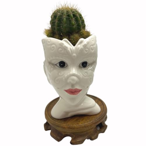 Cute Succulent Pots,White Ceramic Indoor Planters with Drainage and Wood Tray,Round Shallow Flower Plant Pots Decoration Mask Lady - style: Mask Lady