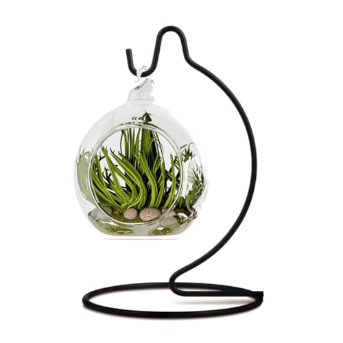 5 Inch Cute Ornament Display Stand, Black Ornament Hanger Stand for Hanging Glass Globe, Air Plant Terrarium, Witch Ball, Christmas Ornament and Home Wedding Decoration (1, 6.3x3.5 Black) - size: 6.3x3.5"Black