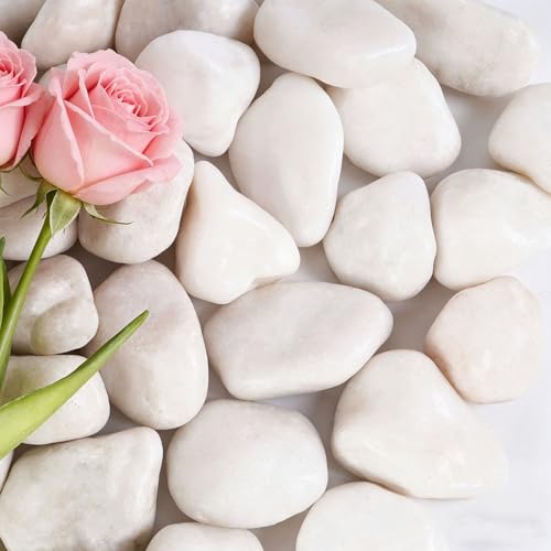 20 lbs White River Rocks, 1-2 inch White Landscaping Rocks | Decorative Pebbles for Plants,Landscape, Gardens,Courtyards, Fish Tank Aquariums, Vases - color: White, size: 1-2 Inch 20 LB