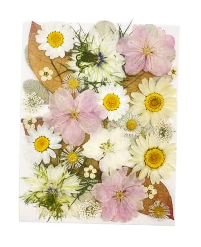 35pcs Dried Pressed Flowers for Resin, Real Pressed Flowers Dry Leaves Bulk Natural Herbs Kit for Scrapbooking DIY Art Crafts, Epoxy Resin Jewelry Molds, Candle, Soap Making, Nails Décor