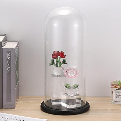 JUXYES 13.8 Inches Glass Display Dome Cloche with Black Wood Base, Clear Glass Dome Cloche Bell Terrarium Jar Glass Cloche Bell Jar Display for Plants Collectible Figure, 15x35cm