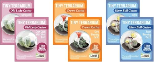 Unique Gardener Tiny Terrarium Plant Seeds 3 Variety Pack, DIY Indoor Succulents and Live Plants for Home or Garden Planting, 2 Each of Assorted Cacti Pack - style: 6 Pack - 2 Each Old Lady, Crown, Silver Ball Cacti
