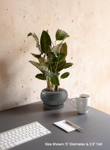 Serene Spaces Living Kuro Ceramic Low Planter with Saucer – Modern Textured Pot for Succulents, Cactus & Indoor Décor, Mini Black Planter, 5" Diameter & 2.9" Tall, Pack of 4 - size: Pack of 4