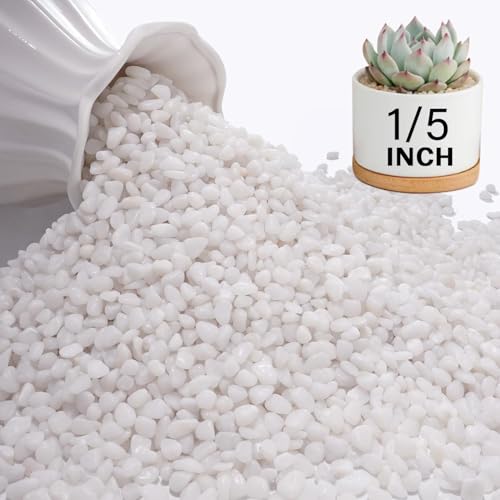 NUPICK 3 lbs Pebbles for Indoor Plants, 1/5 Inch Pea Gravel for Fish Tank | Polished Decorative Rocks for Succulent, Natural River Stones for Vases, Cactus, Landscaping, Bird Bath, Aquarium, White - color: White, size: 3 lb