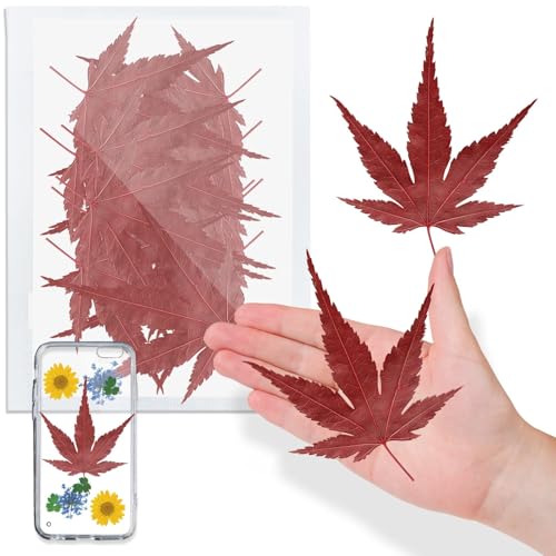 ALJ Natural Dried Maple Leaves for Resin, 42PCS Real Red Pressed Nature Dry Maple Leaf for Resin Mold Art DIY Crafts Jewelry Card Scrapbooking Making Home Wedding Decor - color: Maple Leaves-red