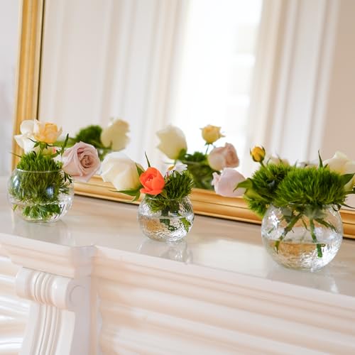32 Pack Glass Bubble Vases, Small Clear Bud Vases for Table Centerpieces | Round Mini Globe Bubble Bowl, Candle Holders, Wedding Event & Home Decor (3 Textures 2 Sizes)