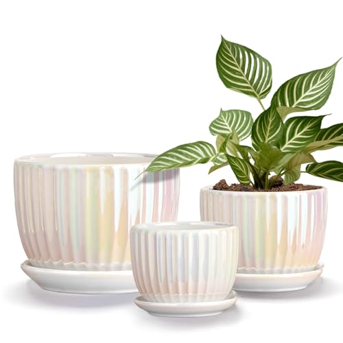 Plant Pots,Ceramic Flower Pots with Drainage Holes & Saucer Set of 3（Pearl） | Pots for Indoor Plants | Decorative Bonsai Pots | Medium Flower Pots for Indoor Plants | Modern Ceramic Planter - color: Pearl White