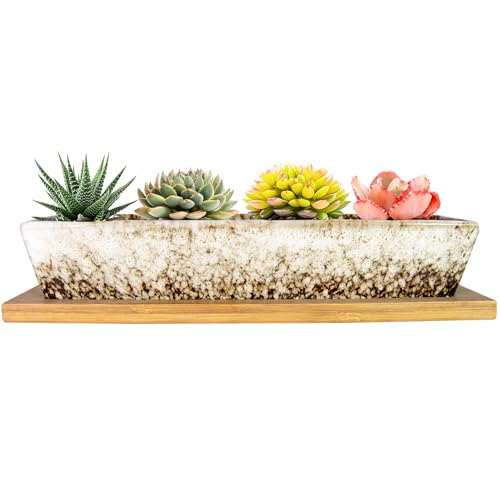 ARTKETTY Succulent Pots, 9.8 Inch Ceramic Succulent Planters with Drainage - color: White