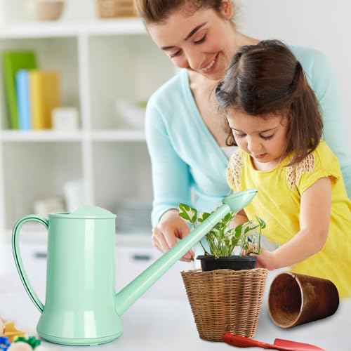 XXXFLOWER Wall Hanging Propagation Station with Wooden Stand 5 Glass Test Tubes 3 Tiered + 2L Long Green Spout Removable Nozzle Flower Watering Pot