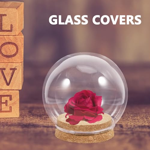 ABOOFAN 5pcs Glass Clear Cloche Globe Display Dome with Wood Base 10cm Decorative Glass Cloche Bell Jar Display Case for Valentines Day Collectibles Enchanted Rose Specimens Snow Globe Craft