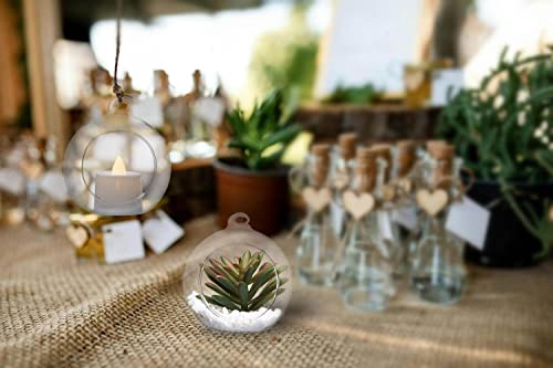 Hanging Glass Candle Holder, Globe Glass Tea Light Holder, Hanging Glass Vase, Flower Plants Terrarium, Glass Orbs Container, Micro Landscape DIY for Home, Office, Wedding (3.15" 12Pcs) - color: 3.15" 12pcs