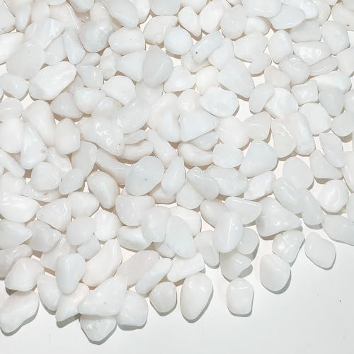 FANTIAN 5 lbs White Pebbles for Indoor Plants, 3/8 Inch Decorative White Gravel, Polished River Rocks for Potted Plants Vase Cactus Bird Bath and Outdoor Garden Landscaping - size: 5 pounds, style: White