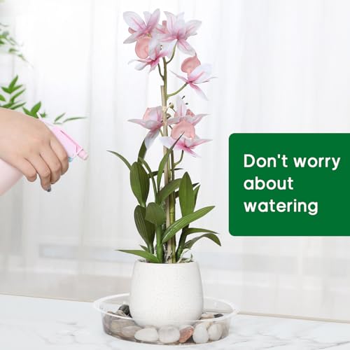 JERIA 8 Inch 20 Pack Clear Plant Saucers,Plastic Flower Pot Trays,Round Durable Plant Drip Trays for Indoor and Outdoor - size: 8 Inch (20 Pack)
