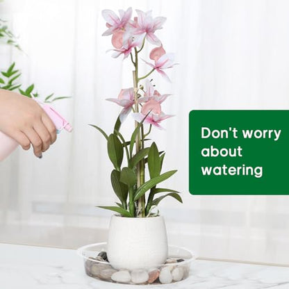 JERIA 8 Inch 20 Pack Clear Plant Saucers,Plastic Flower Pot Trays,Round Durable Plant Drip Trays for Indoor and Outdoor - size: 8 Inch (20 Pack)