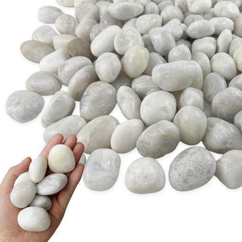 15LB White Rocks, High Polished 1–2 inch Decorative Rocks for Plants, Lava Rocks for Plants, White Pebbles for Indoor Plants, Aquarium & Fish Tank Rocks,Garden Landscaping River Stones - color: White, size: 15 Pounds