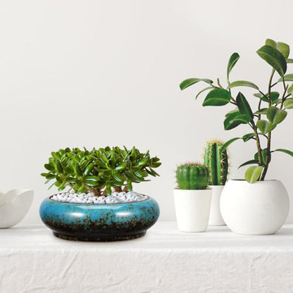 Toddmomy Lotus Flower Bowl Planter 6.88 Inch Round Shallow Ceramic Pot with Drainage Hole for Succulents Cacti Bonsai Indoor Plants Home Office Decor - size: 1pc