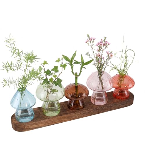 Mushroom Plant Propagation Station, 5 Vases, Wooden Stand