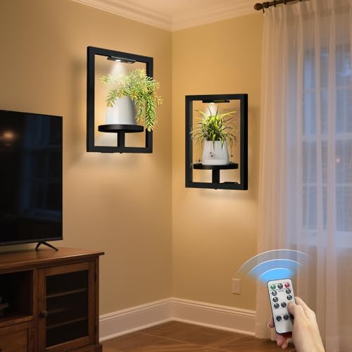 BAOYOUNI 2 Pack Wall Plant Shelf with Light, Metal Window Frame Holder