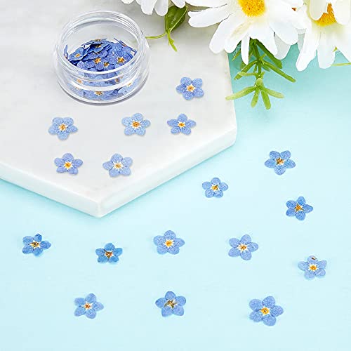 Nuanchu 50 Pieces Forget Me Not Dried Flowers Natural Real Pressed, Blue | for Resin Jewelry Making, Nail Art Decorations, Candle Card Crafts, DIY Ornaments, Pressed Flower Projects, Botanical