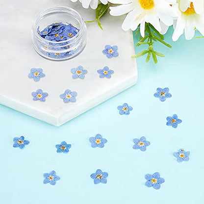 Nuanchu 50 Pieces Forget Me Not Dried Flowers Natural Real Pressed, Blue | for Resin Jewelry Making, Nail Art Decorations, Candle Card Crafts, DIY Ornaments, Pressed Flower Projects, Botanical