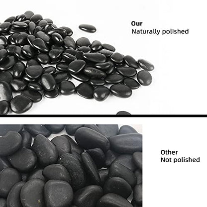 Black Pebbles for Plants 7lb Bulk Bag Aquarium Gravel 0.5"- 1" Decorative Polished Fish Tank Stone River Rocks - size: 7LB, style: Black