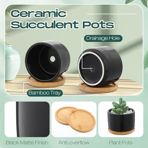Cindeer 12 Sets Succulent Plant Pot Ceramic Succulent Pots Container Cactus Pots with Bamboo Tray Small Cylinder Flower Plant Pot with Bamboo Saucers for Plants Indoor Outdoor (Black,3 x 2.17 Inch) - color: Black