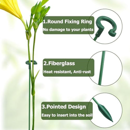 Pack of 30 Small Plant Stakes for Indoor Plants 6.7 Inches - size: C Set(6.7 in)