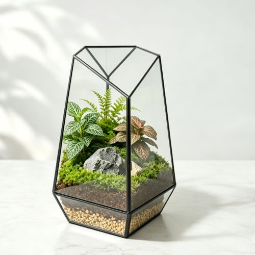 Ferrisland Glass Geometric Plant Terrarium, Clear Glass Succulent - size: 13" L x 7.28" W x 7.28" H