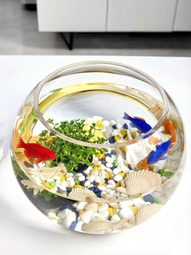 CYS EXCEL Large Glass Bubble Bowl (H-12 W-13, Approx. 5.3 Gal.) Round Bowl Terrarium Globe Flower Vase Centerpiece for Weddings Events Arrangements - size: H-12" W-13"