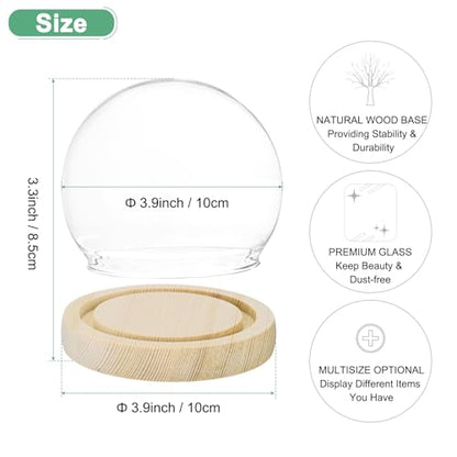 M METERXITY Cloche Glass Dome, D3.9In Ball Jar with Wooden Base for DIY Snow Globes/Small Plants/Flowers/Candles/Models/Souvenirs, Glass Display Case [Wood] - color: Wood, size: D3.9In