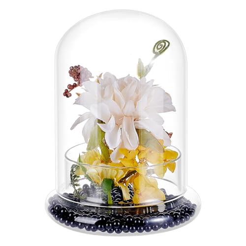 PH PandaHall Glass Display Dome Cloche 4.6x6.38inch Clear Terrarium Planter with Base Tabletop Display Terrarium for Indoor Plants Succulents Cactus Tabletop Home Decoration - size: 4.6x6.38inch