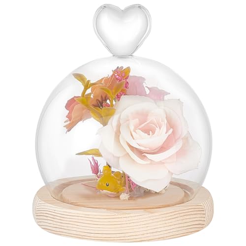 PH PandaHall Glass Display Dome Cloche with Wood Base, 4"W x 4.7"H Heart Glass Dome Cover Decorative Jars Display Case Cloche Bell Jar Terrarium for Flower Storage Home Christmas Party Favor Decor